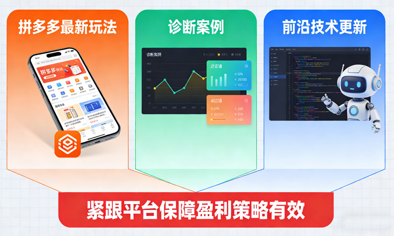 拼多多最新玩法、诊断案例及前沿技术更新，紧跟平台保障盈利策略有效